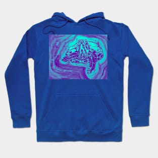 Todd (Teal) Hoodie